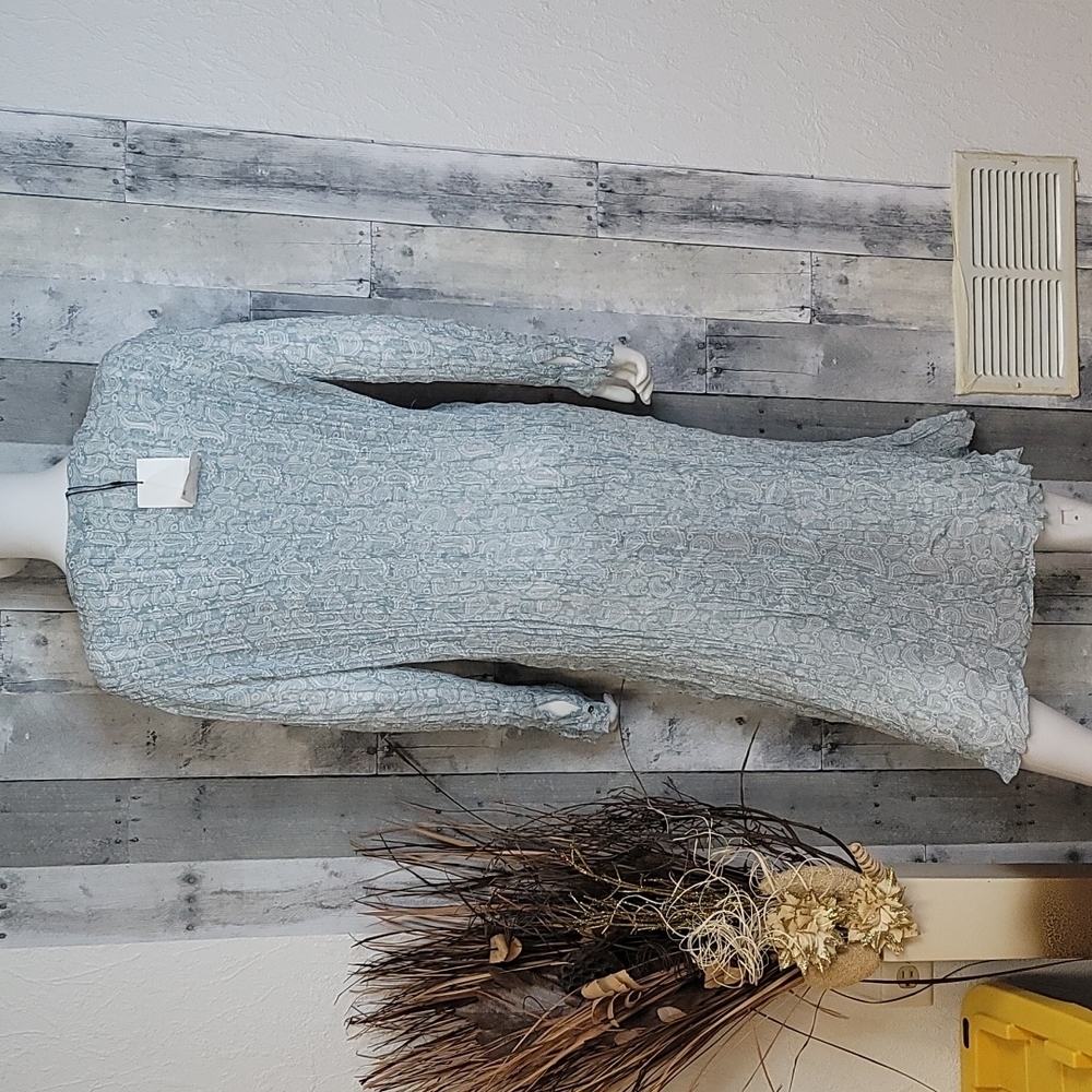 Zara Semi Sheer Wrinkled Button Down Dress - Picture 14 of 16